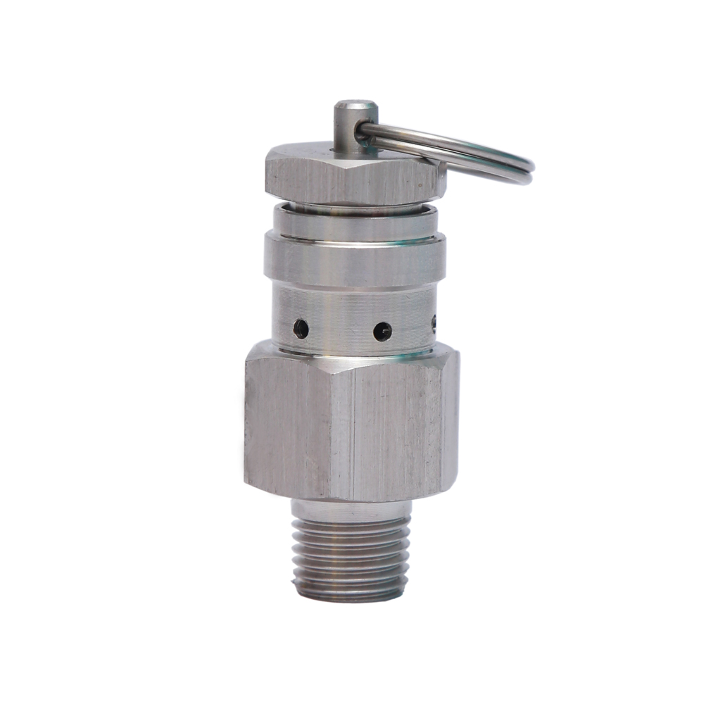 Mini Air Release Valve <br> Model No.:DVP01<br/>